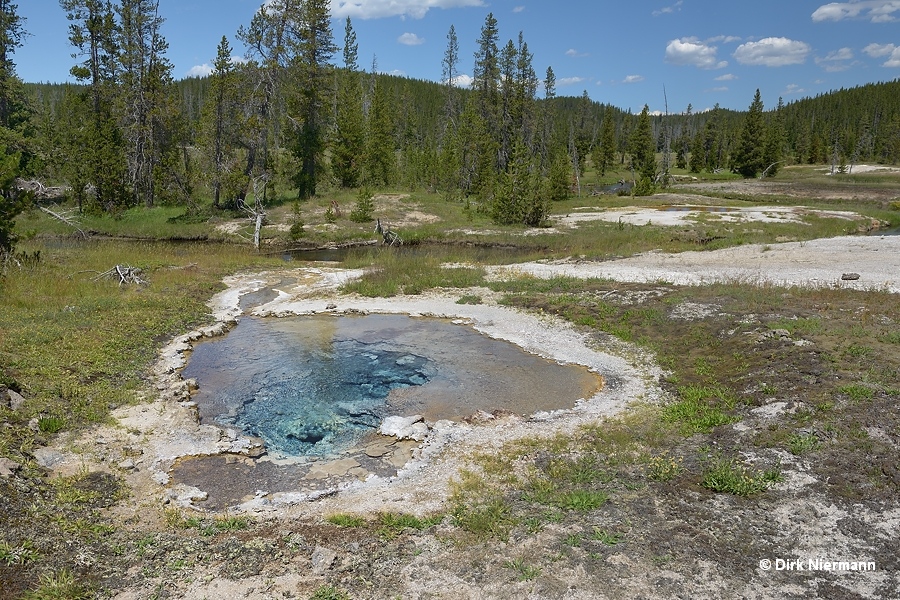 Little Bulger Geyser, Shoshone Basin Yellowstone