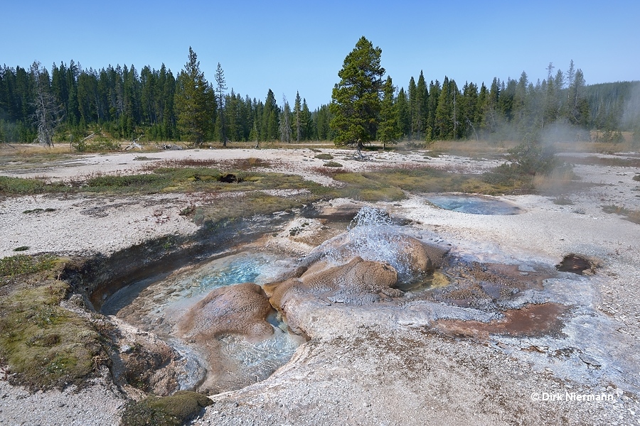 Mangled Crater Spring Shoshone Basin