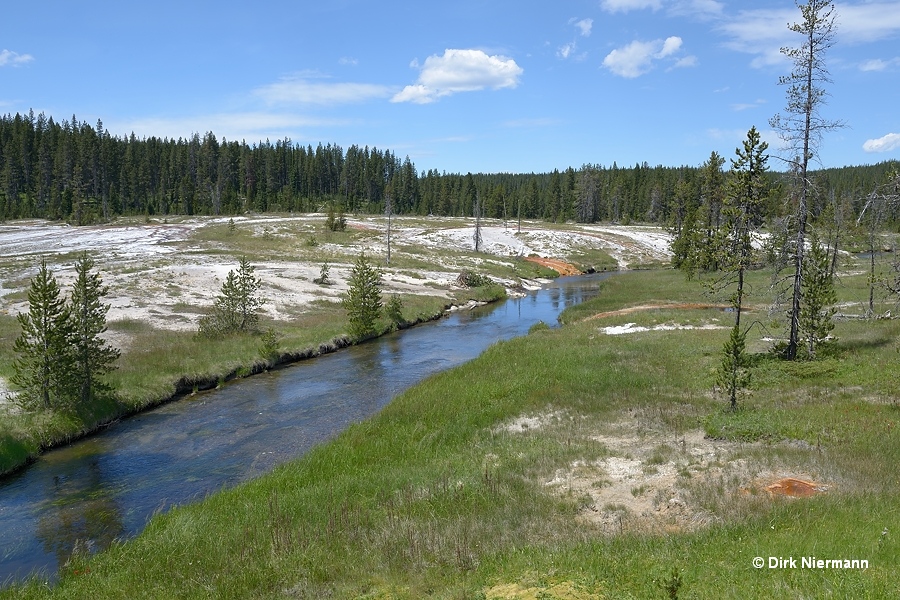Shoshone Basin North Group Yellowstone