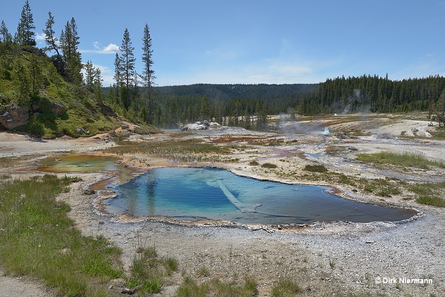 Rosette Spring, Shoshone Basin Yellowstone