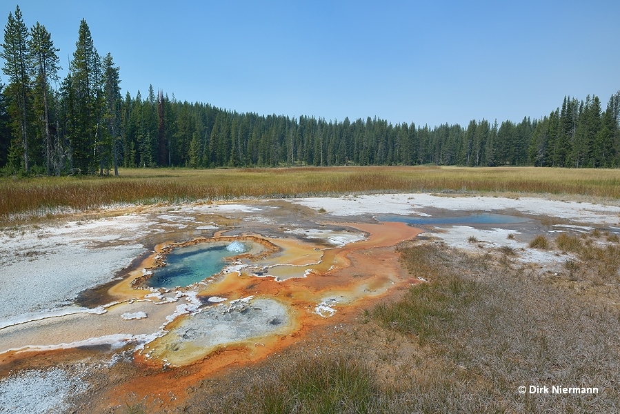 SHCGNN002 Shoshone Basin Yellowstone