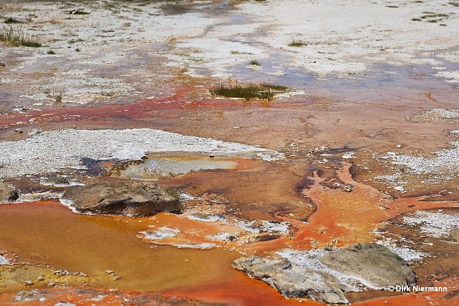 Geyser SLGGNN001, Shoshone Basin Yellowstone