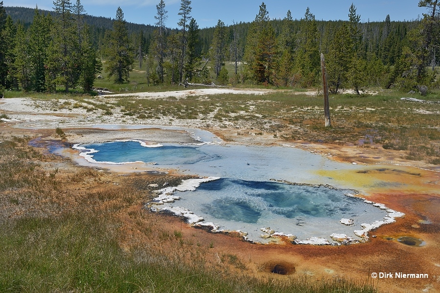 Hot springs SLGGNN026 and SLGGNN027, Shoshone Basin Yellowstone
