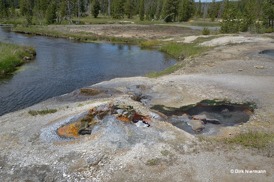 SMMGNN019, Black Sulphur Spring and SMMGNN016 Shoshone Basin Yellowstone
