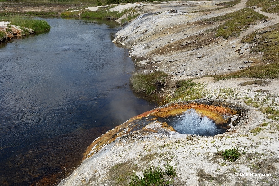 Perpetual spouter SMMGNN022 Shoshone Basin Yellowstone