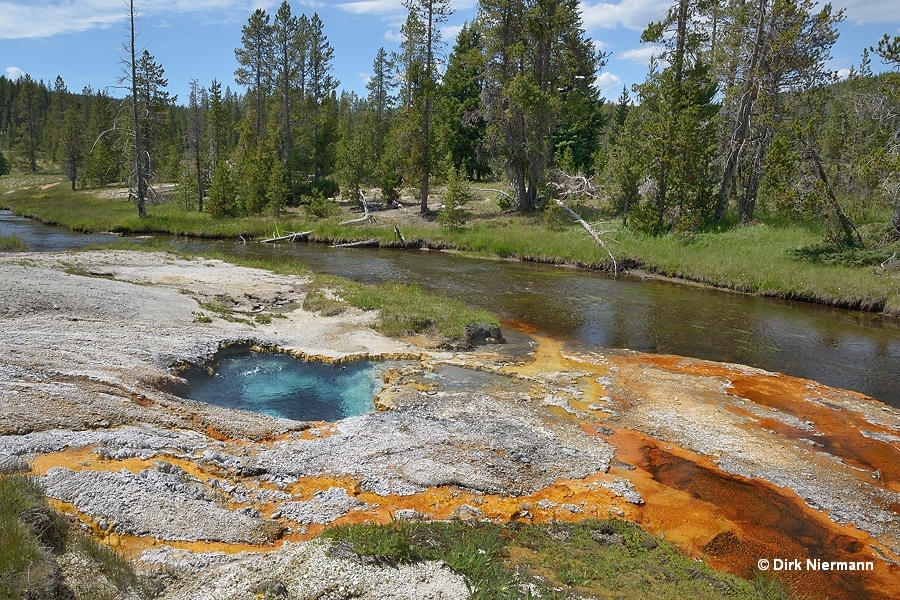 Hot spring SMMGNN038, Shoshone Basin Yellowstone