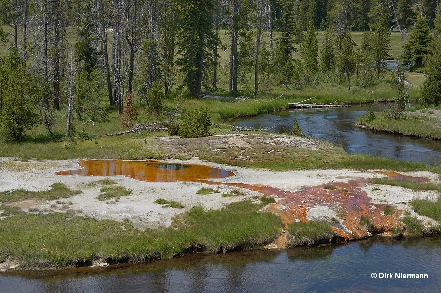 Hot spring SMMGNN072, Shoshone Basin Yellowstone