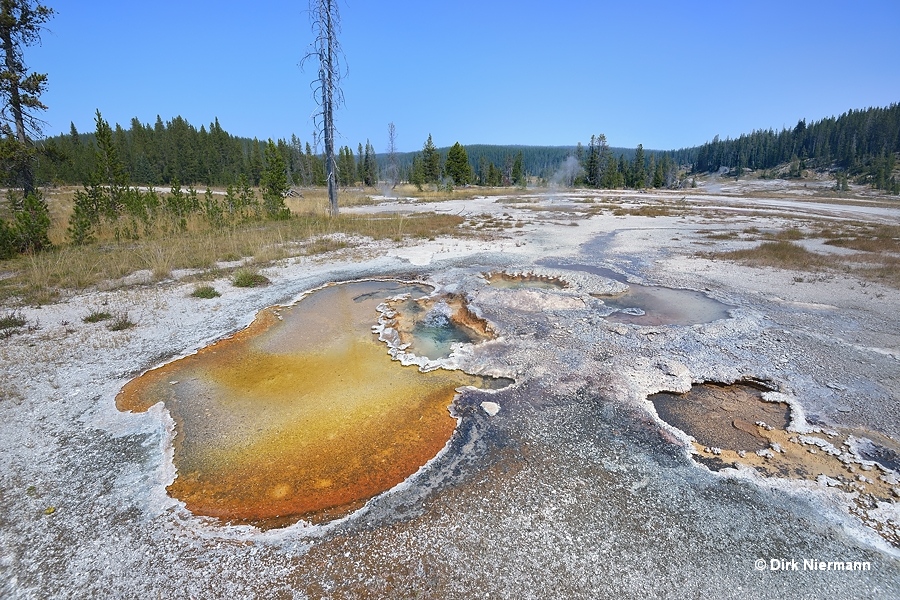 Hot spring SNGNN001 Shoshone Basin Yellowstone