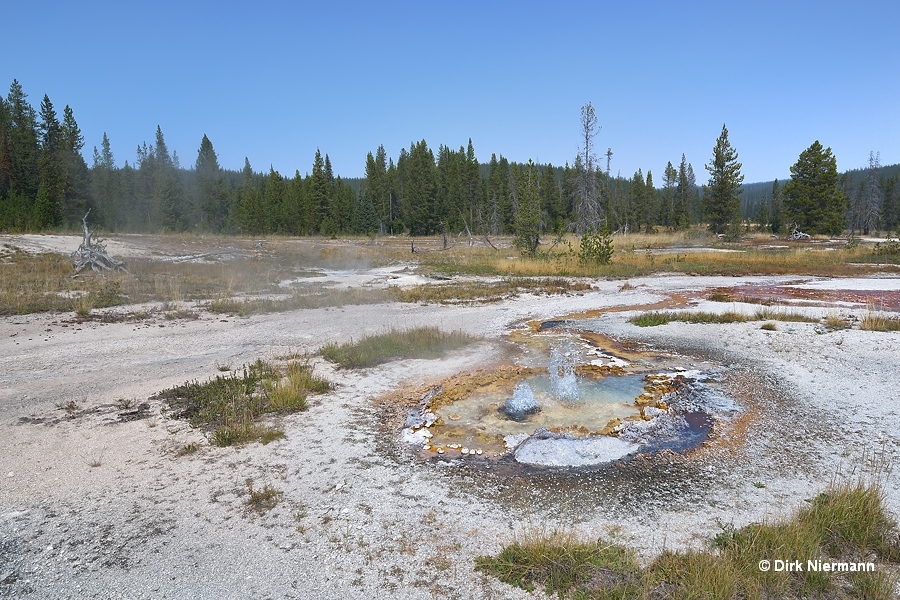 Geyser SNGNN006 Shoshone Basin