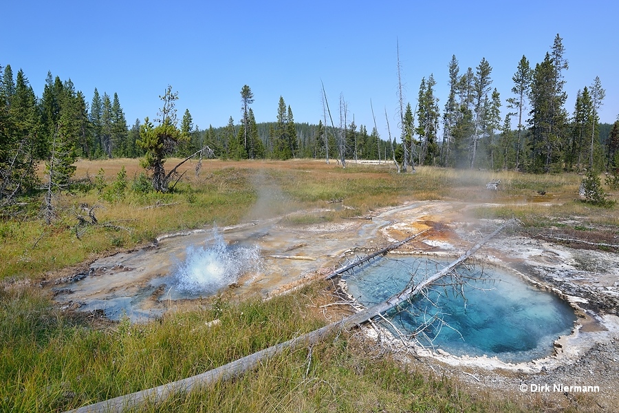 Geyser SNGNN044 and Funnel Spring Shoshone Basin