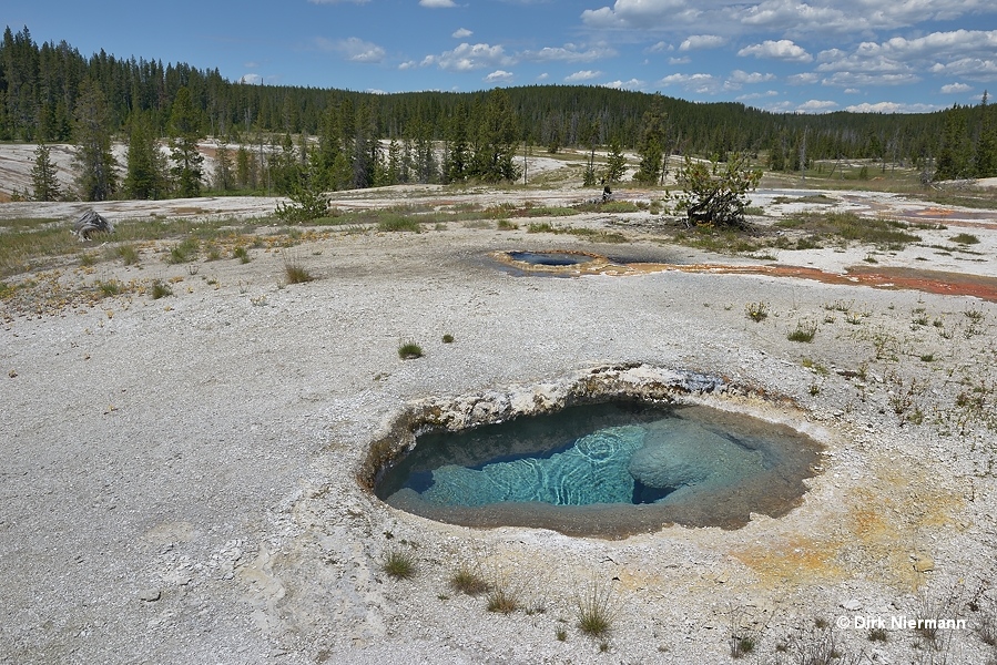 Hot spring SOGNN021 Shoshone Basin Yellowstone