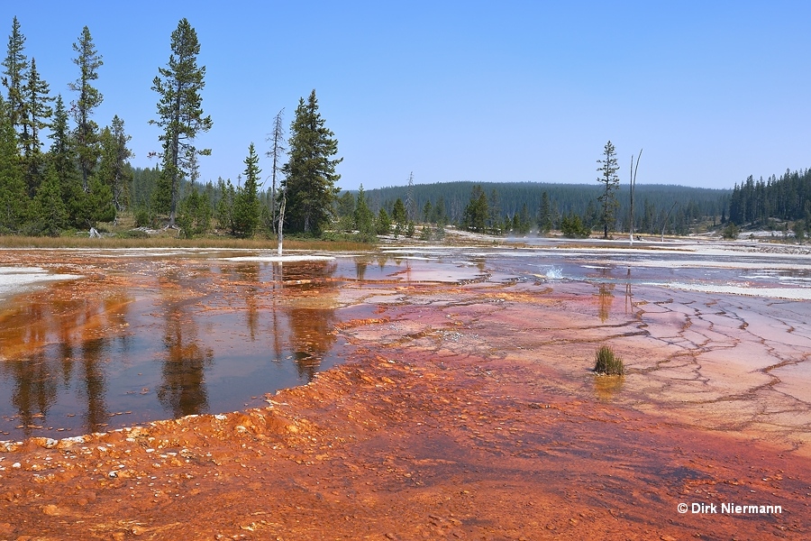 SSGNN009 Shoshone Basin Yellowstone