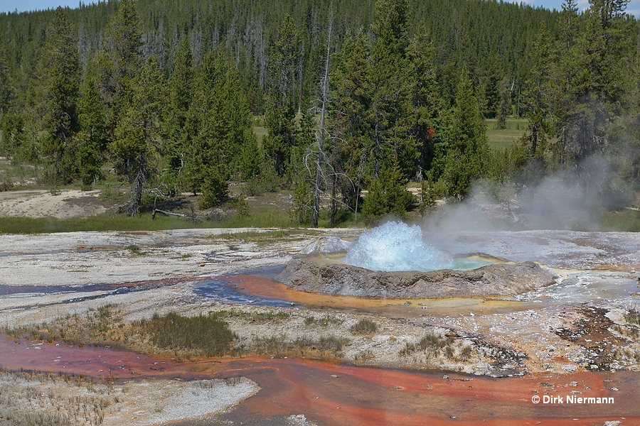 Shield Geyser, Shoshone Basin Yellowstone