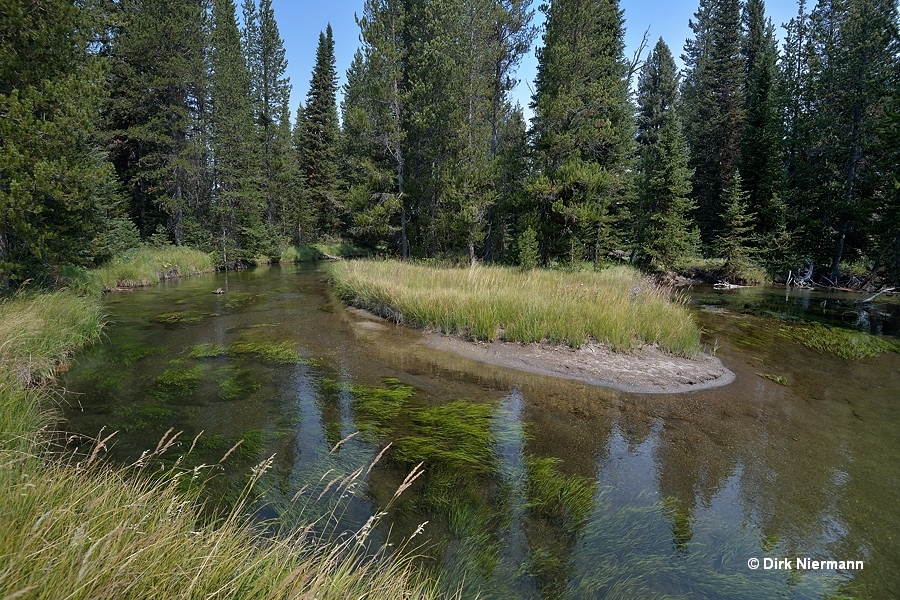 Shoshone Creek Yellowstone