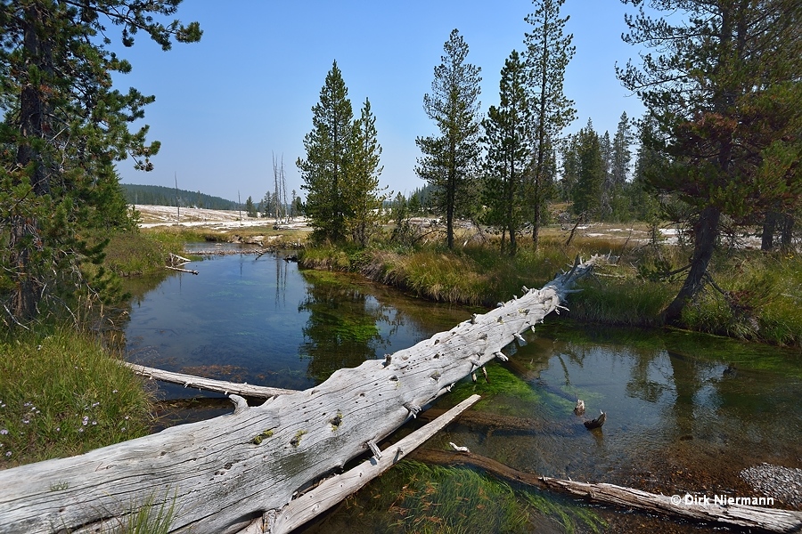 Shoshone Creek Yellowstone