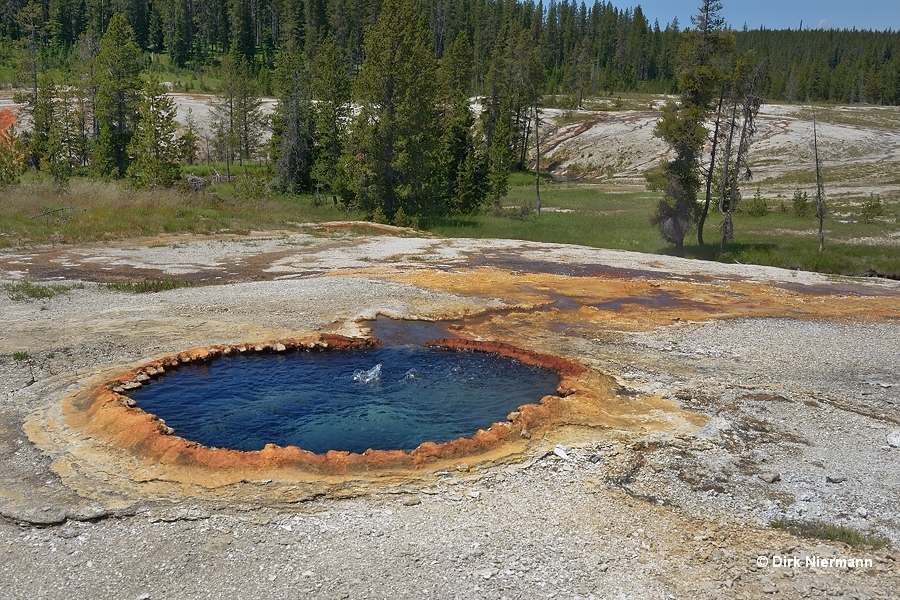 Taurus Spring Shoshone Basin Yellowstone