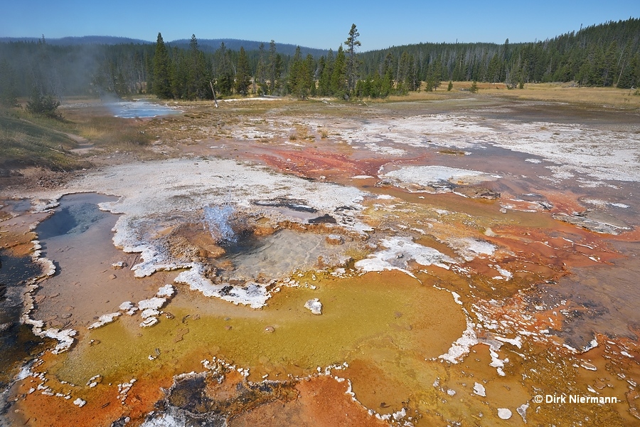 Trailside Geyser, Shoshone Basin Yellowstone