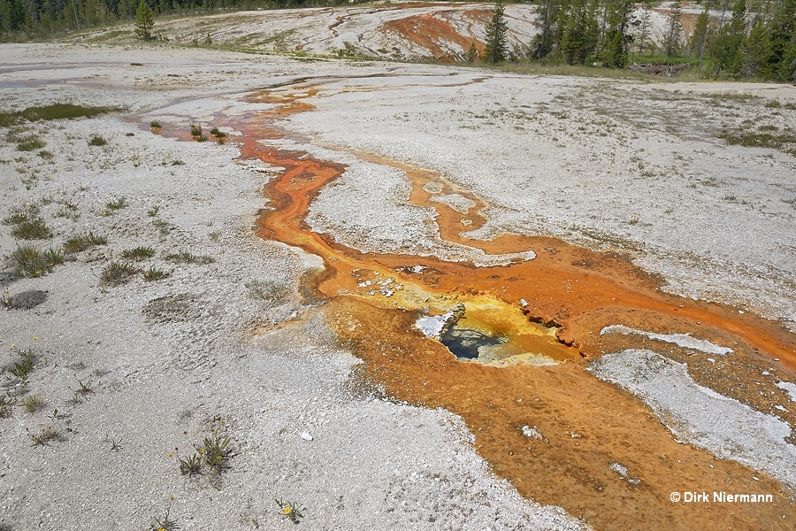 Undermine Spring Shoshone Basin Yellowstone