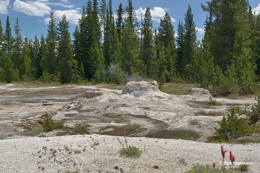 Union Geyser Shoshone Basin Yellowstone