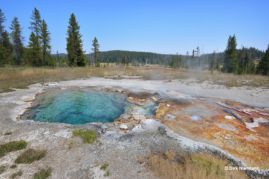 Wedge Spring Shoshone Basin Yellowstone