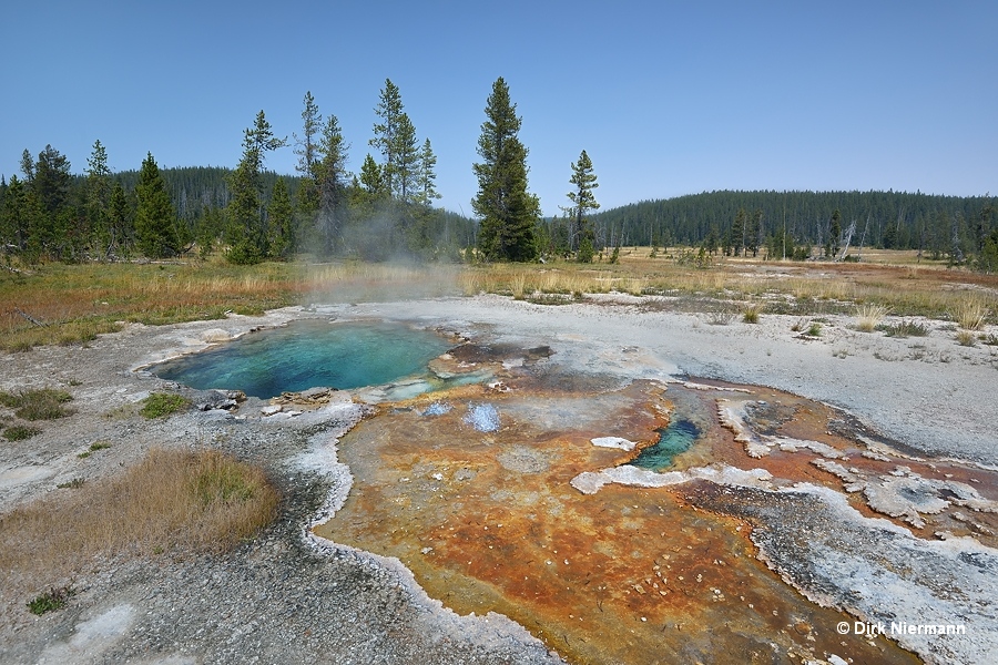 Wedge Spring Shoshone Basin Yellowstone