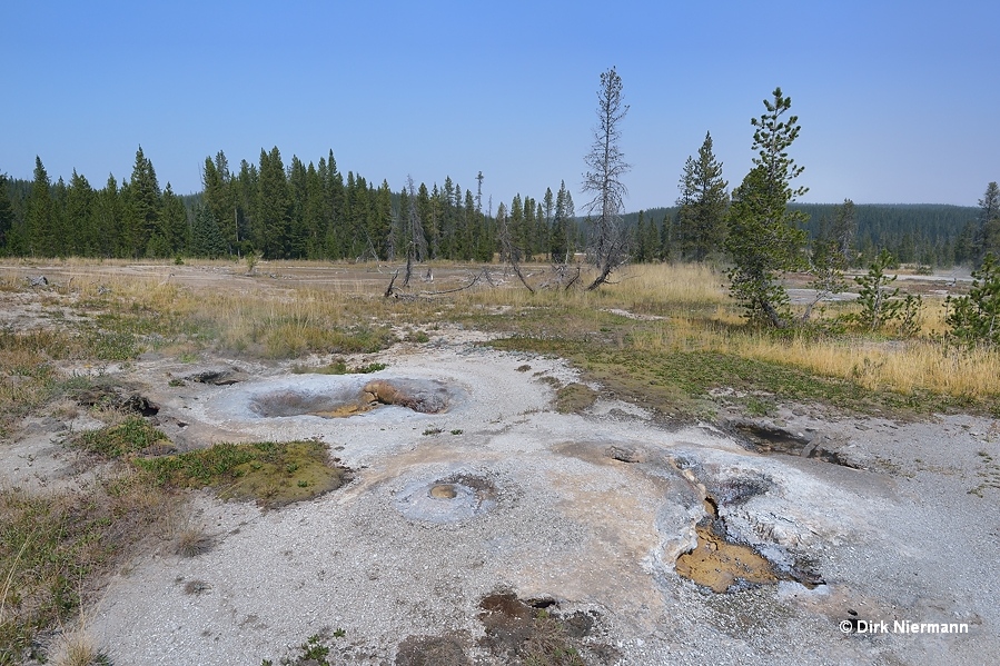 Yellow Sponge Spring Shoshone Basin