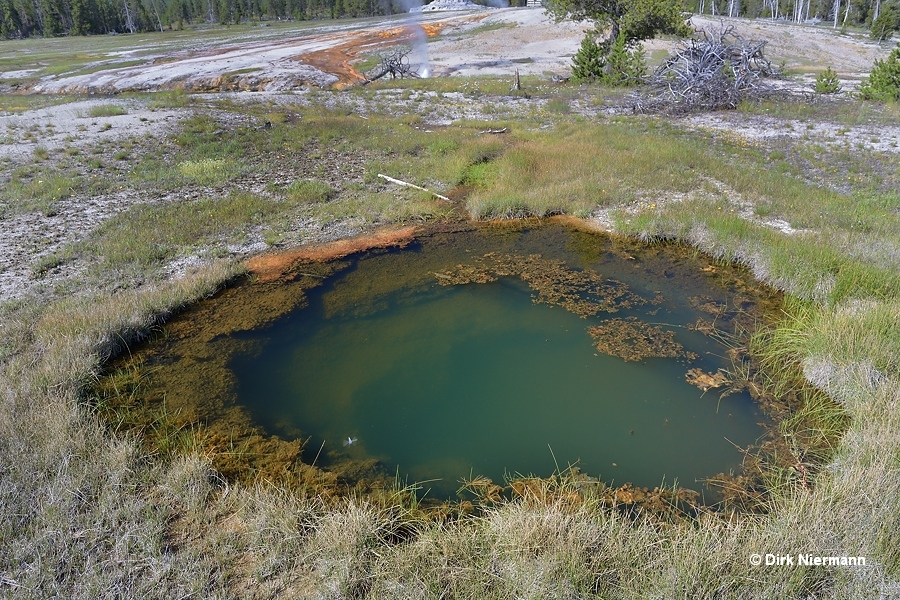 Liberty Pool Yellowstone