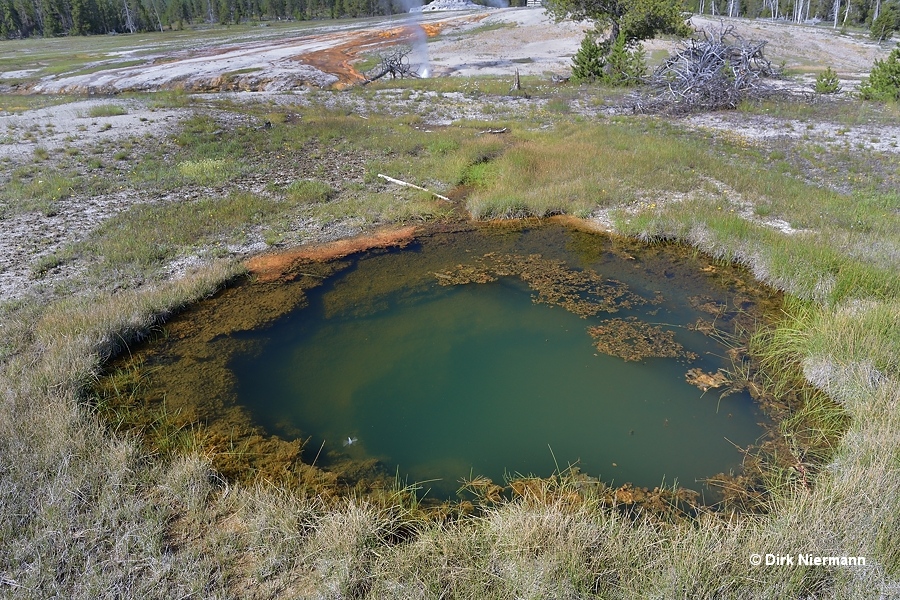 Liberty Pool Yellowstone