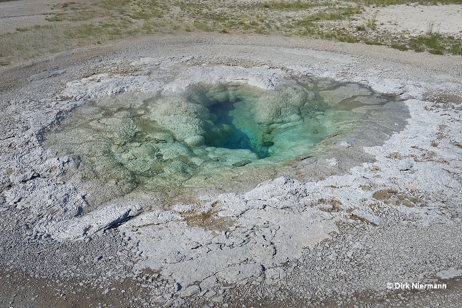 Oval Spring Yellowstone