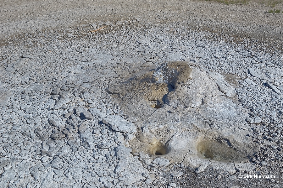 Penta Geyser Yellowstone