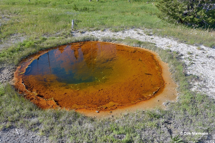 Rubber Pool Yellowstone