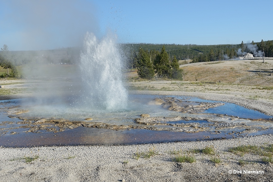 Sawmill Geyser Yellowstone