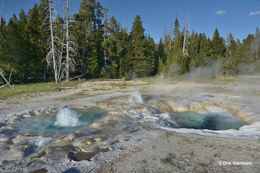 Spasmodic Geyser Yellowstone