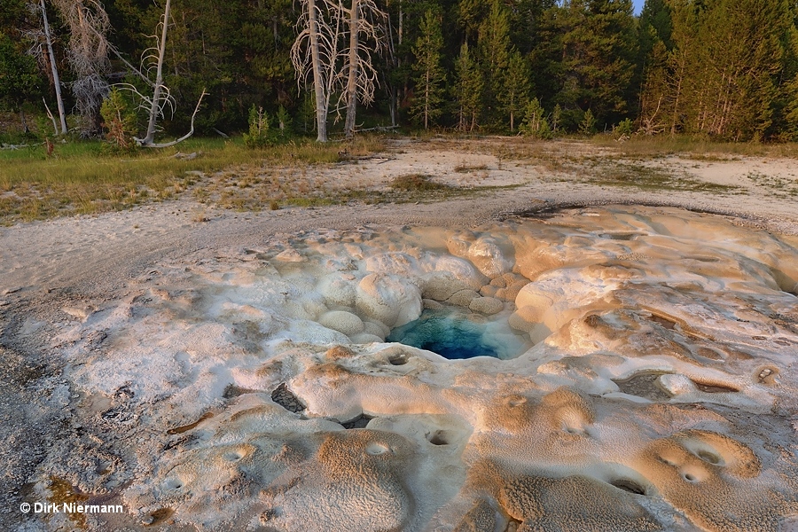 Spasmodic Geyser Yellowstone