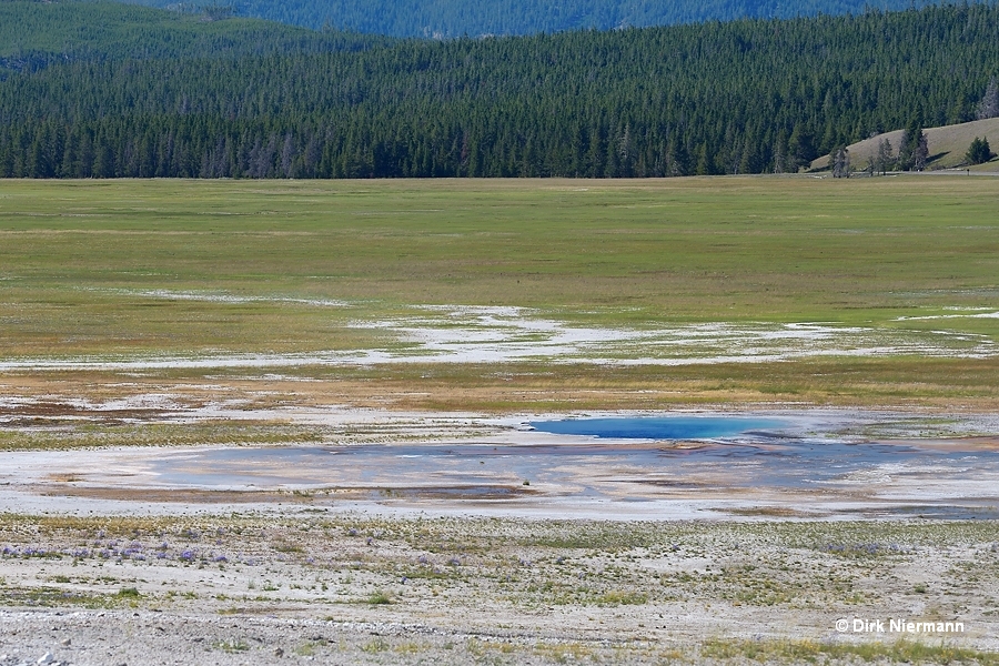 Gentian Pool Yellowstone