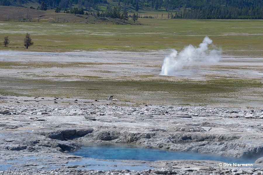 Little Crack Geyser Yellowstone