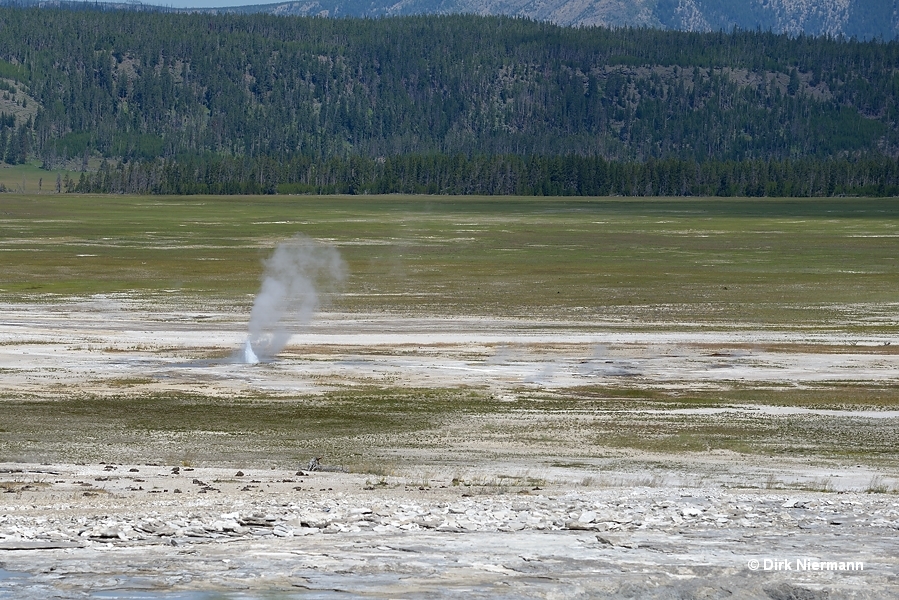Spasmodicy Geyser Yellowstone