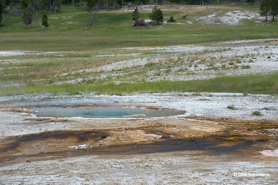 Fungoid Spring Yellowstone