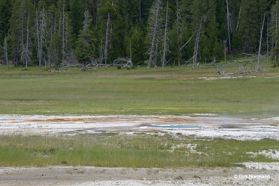 Gourd Spring Yellowstone