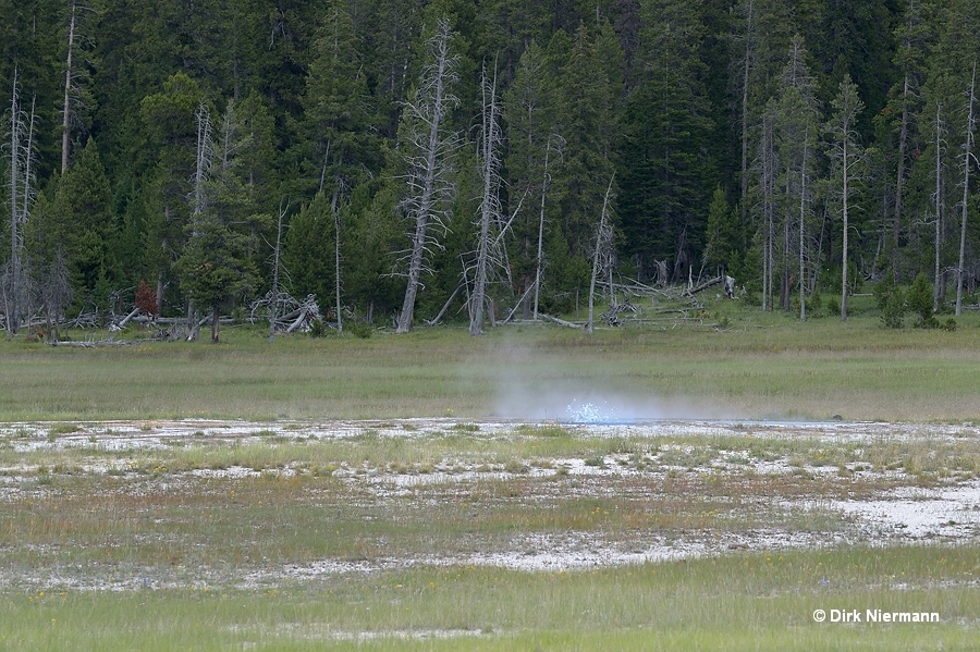 Kidney Spring Yellowstone