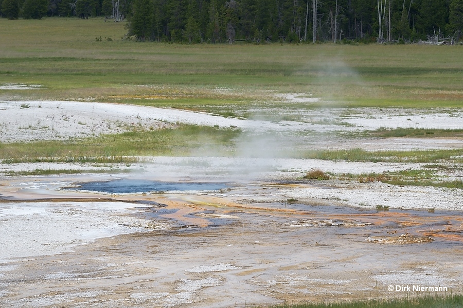 Thud Spring Yellowstone