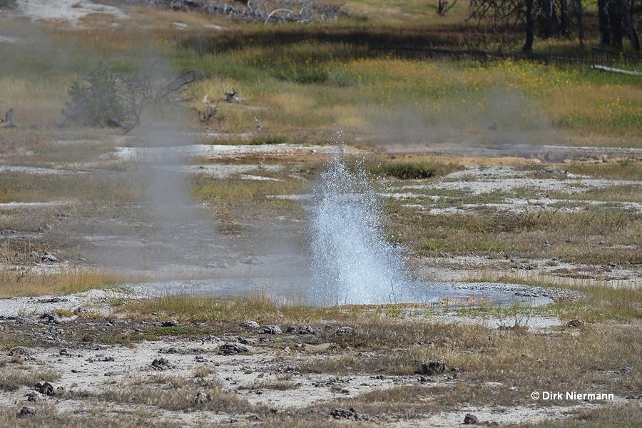 A-0 Geyser Yellowstone