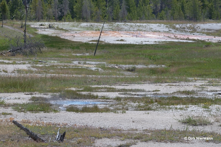 A-1 Geyser and A-2 Geyser Yellowstone