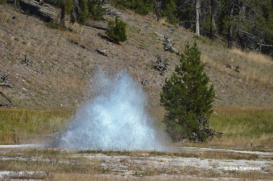 Botryoidal Spring Yellowstone