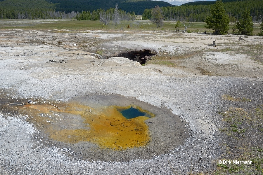 Pebble Geyser Yellowstone