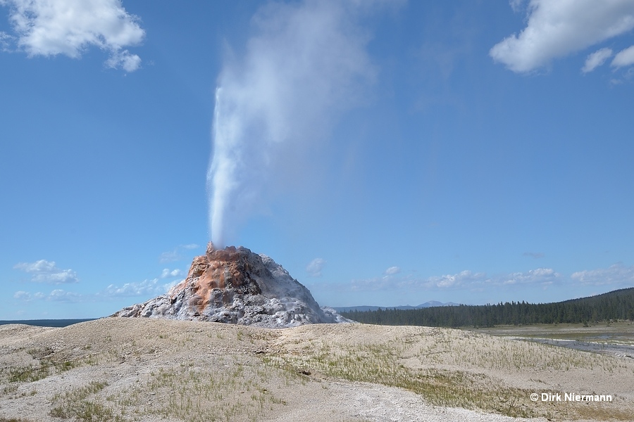 White Dome Geyser Yellowstone