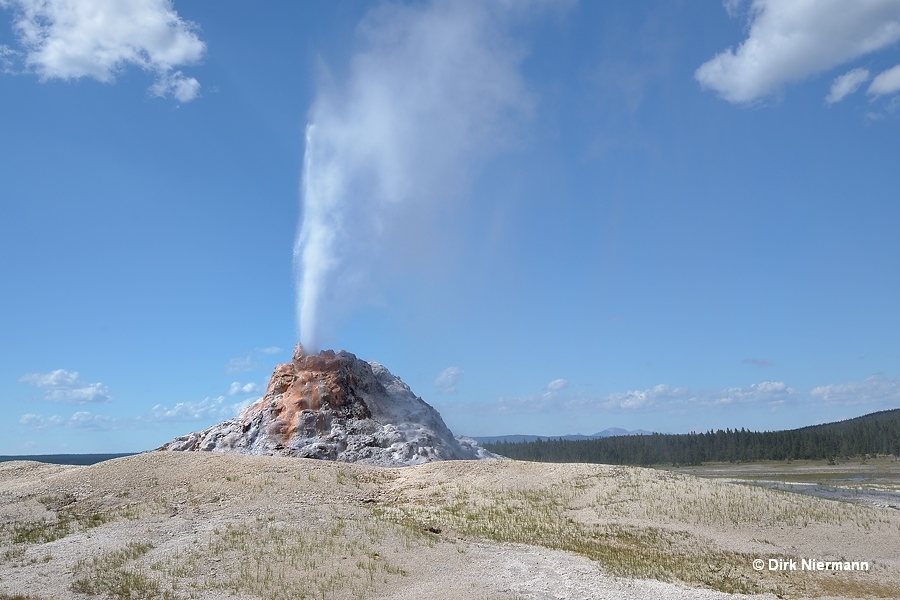 White Dome Geyser Yellowstone