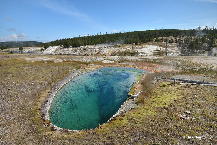 Westside Group Yellowstone