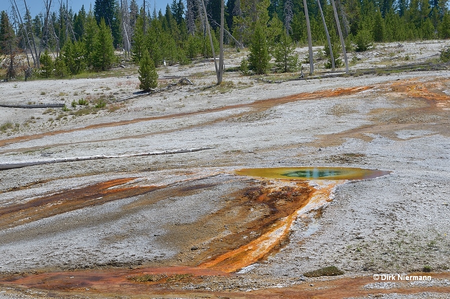 Unnamed spring southwest of Black Pool West Thumb Basin Yellowstone