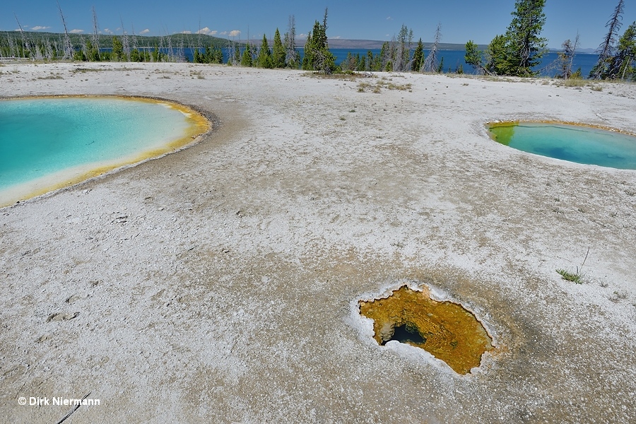 Footprint Geyser Yellowstone